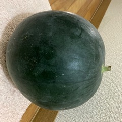スイカ　一つ