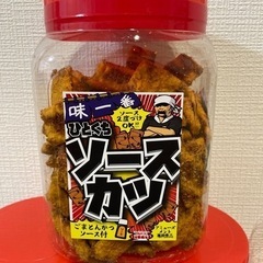 ★早い者勝ち★★ソースカツ　カツポット
