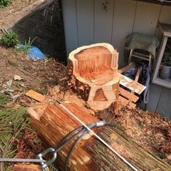 デイキャンプ、キャンプに誘ってください🏕 - 友達