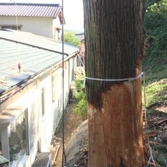 デイキャンプ、キャンプに誘ってください🏕