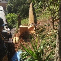デイキャンプ、キャンプに誘ってください🏕 - 高知市