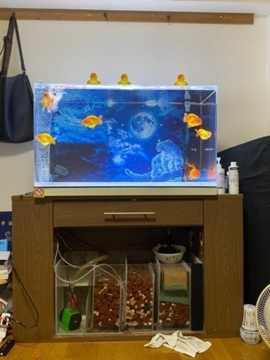 オーバーフローアクリル水槽90cm 美品　早い者勝ち