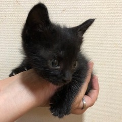 決まりました♡！