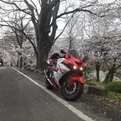 zzr1400の画像
