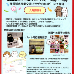 犬猫フェス横須賀・ワンにゃんパパママフェスティバル