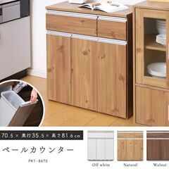 【ゴミの分別ラクラク】 ペールカウンター　ゴミ箱 キッチン収納 ...