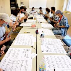 【ウクレレ専門レッスン】横浜でウクレレ始めてみませんか？（LINEビデオ・Skype・MEET・ZOOM等オンラインレッスンも全国対応致します！）の画像