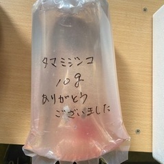 タマミジンコ　10g 30,000匹以上　めだか　金魚　観賞魚　餌にの画像