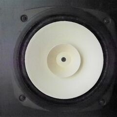 Fostex FE207 20cmフルレンジスピーカーです (sakutaro69) 川口