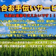 時給1000円❗日払い要相談‼️