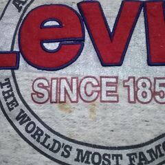 Levis リーバイス　トレーナー　男女兼用　ヴィンテージ　レア物　の画像