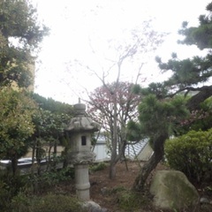 美和町近辺の方、仕事譲ってください