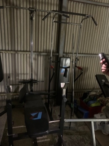 ベンチプレス、懸垂機