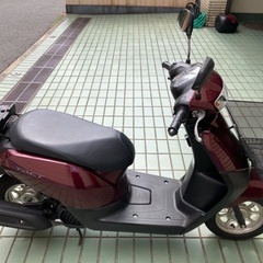 ホンダタクトaf79の画像