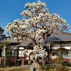 夏休みラジオ体操2023📿長泉寺