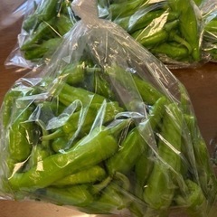 ししとうと他の野菜交換したい。