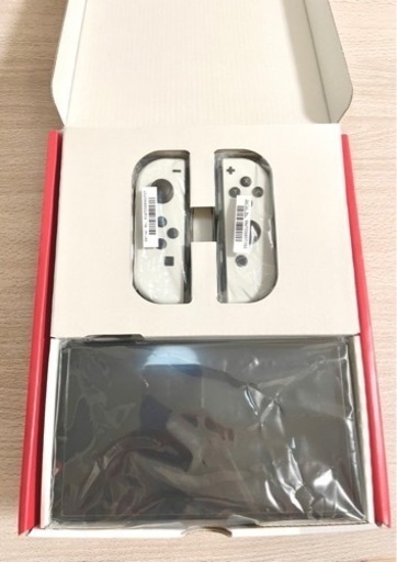 スイッチ有給EL(製品ケース、Micro SD付)
