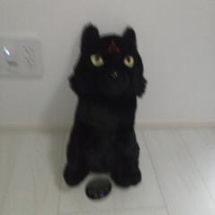 呪術廻戦。犬玉ぬいぐるみXLプレミアム【中古品】