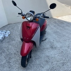 決まりました　トゥデイ　原付　50cc AF67  自賠責令和8...