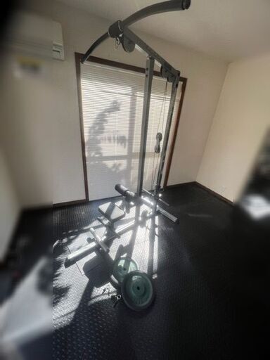 BODYSOLID ボディソリッド ラットマシン ラットプルダウン 背筋 ダンベル10㎏2枚付！USED品 現状にて 引取歓迎！