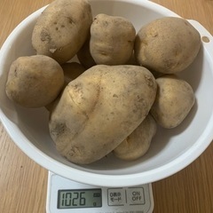 掘りたてじゃがいも1kg200円販売中!!②