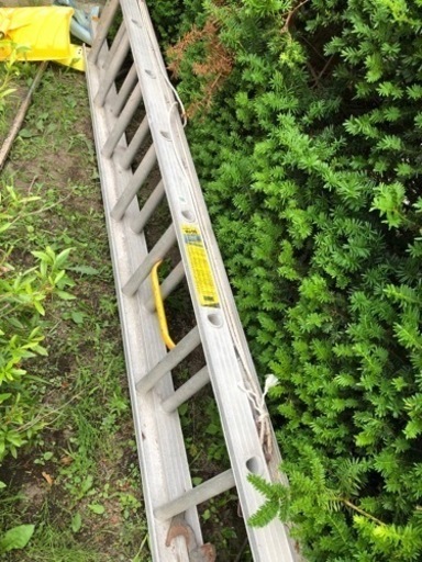 ハセガワ アルミ合金製伸縮2連はしご ライトマスター RV-50 全長5m6cm 梯子 長谷川工業