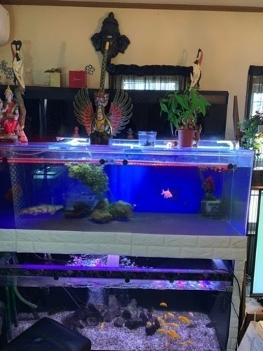 水槽 １８００×６００備品はお問い合わせ下さい。