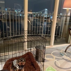 犬友達🐶募集 − 東京都