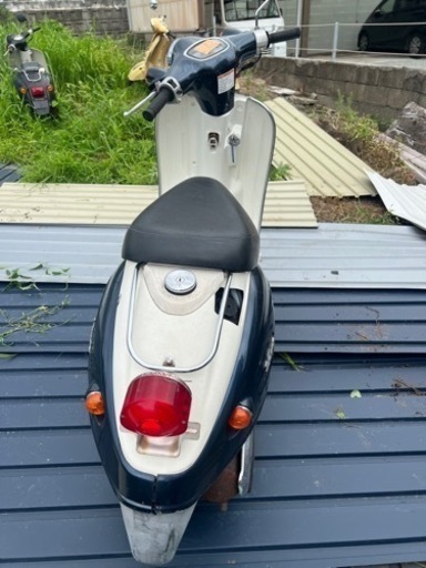 スズキヴェルデ