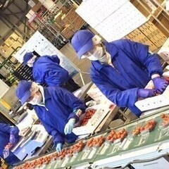 通勤手当全額支給／誕生日(有給)休暇／団体保険など充実の共済会／...