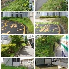 庭園緑地管理、外構工事スタッフ募集中　所沢市の画像