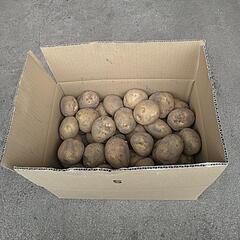 きたあかり　じゃがいも　1kg〜
