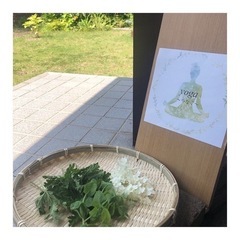8月加東市ヨガ教室🧘‍♀️