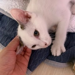 両耳にハートちゃん💖