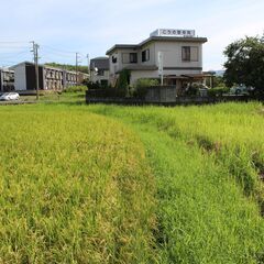 ★ 空き田んぼ 土地レンタル 約665㎡ 立地良好 ★  - 短期賃貸