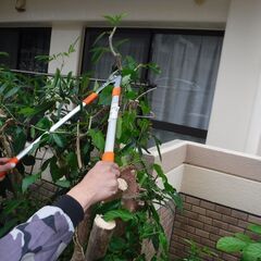 沖縄本島全域 別荘巡回 清掃管理 求人の画像
