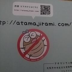 ♤お値引きしました♤頭シラミ取りスキグシ未使用品の画像