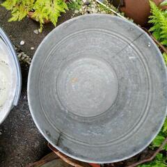 バケツ5個　ガーデニング　植木　防災　の画像