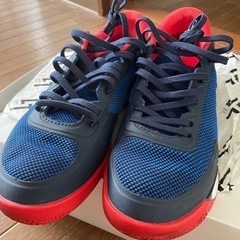 ラコステ　26センチ　一回のみ使用