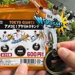 ジャイアンツ　アメコミアクリルスタンド　堀田　値下げ！