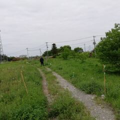 新緑ハイク行きませんか