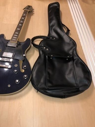 Aria Pro Ⅱ　アリアプロⅡ セミアコタイプ エレキギター TA62C ケース付