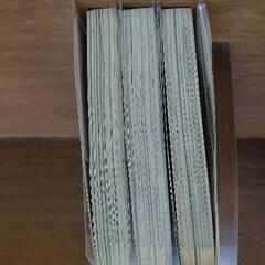 いろは坂、上がってすぐ。の画像