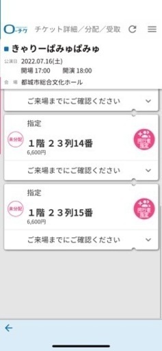 〈当日〉きゃりーぱみゅぱみゅ都城のチケット