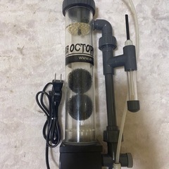 リーフオクトパス　カルシウムリアクター　水槽　サンゴ　海水魚
