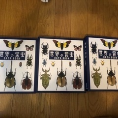 ディアゴスティーニ 世界の昆虫 データブック・レプリカ標本セット