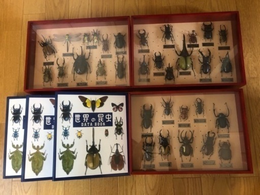 ディアゴスティーニ　世界の昆虫　 データブック・レプリカ標本セット（３２体）