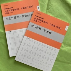 体系数学2 完成ノート　代数編　発展