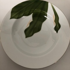 お皿　ハワイ風　