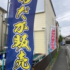 ９月２９日日曜日10時から13時めだか販売の画像